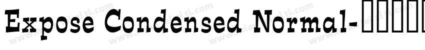 Expose Condensed Normal字体转换